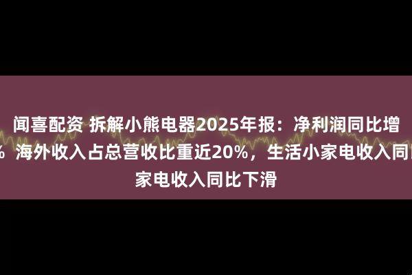 闻喜配资 拆解小熊电器2025年报：净利润同比增长36%  海外收入占总营收比重近20%，生活小家电收入同比下滑